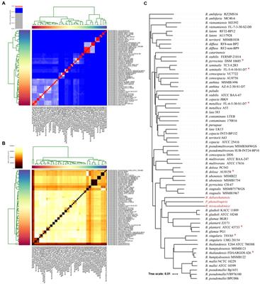 Frontiers Distribution Characterization And Evolution Of Heavy